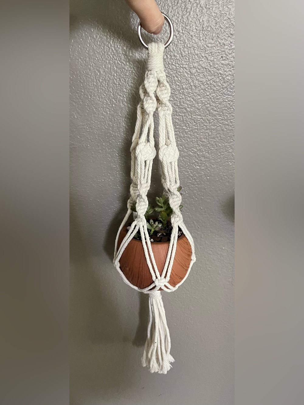 Macramé plant holder. Natural color cord.